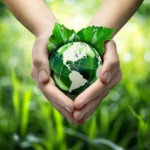 Umweltfreundliches Papier: Umweltbewusstsein bei Rollenland