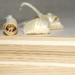 Holzfreies Papier – Alles was Sie wissen müssen